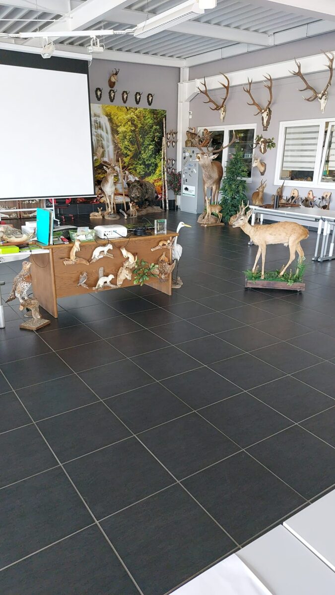 Dekobild Jagdschule Schlunugsraum