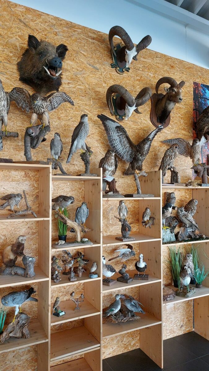 Dekobild Jagdschule Schlunugsraum